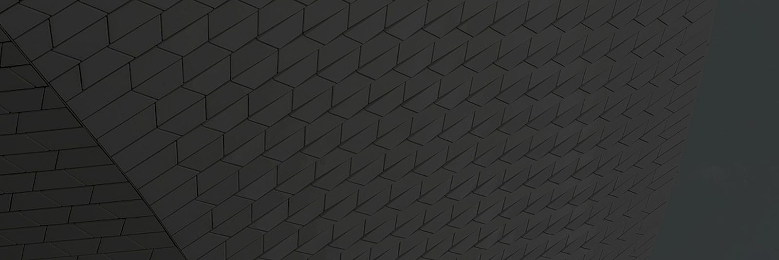 Black and white close-up of flower petals.